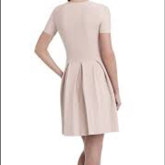 BCBG Maxazaria Elandra Pleated Dress - Picture 5 of 6